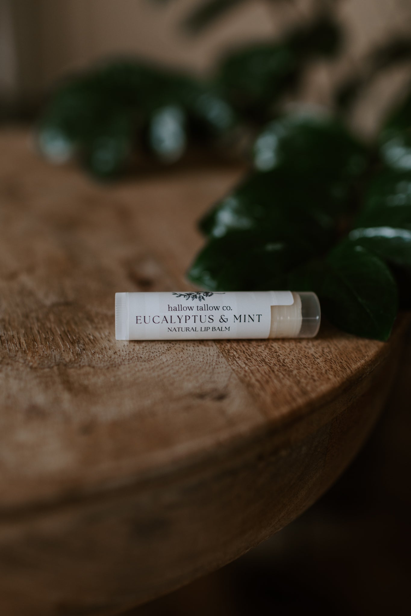 eucalyptus & mint tallow lip balm